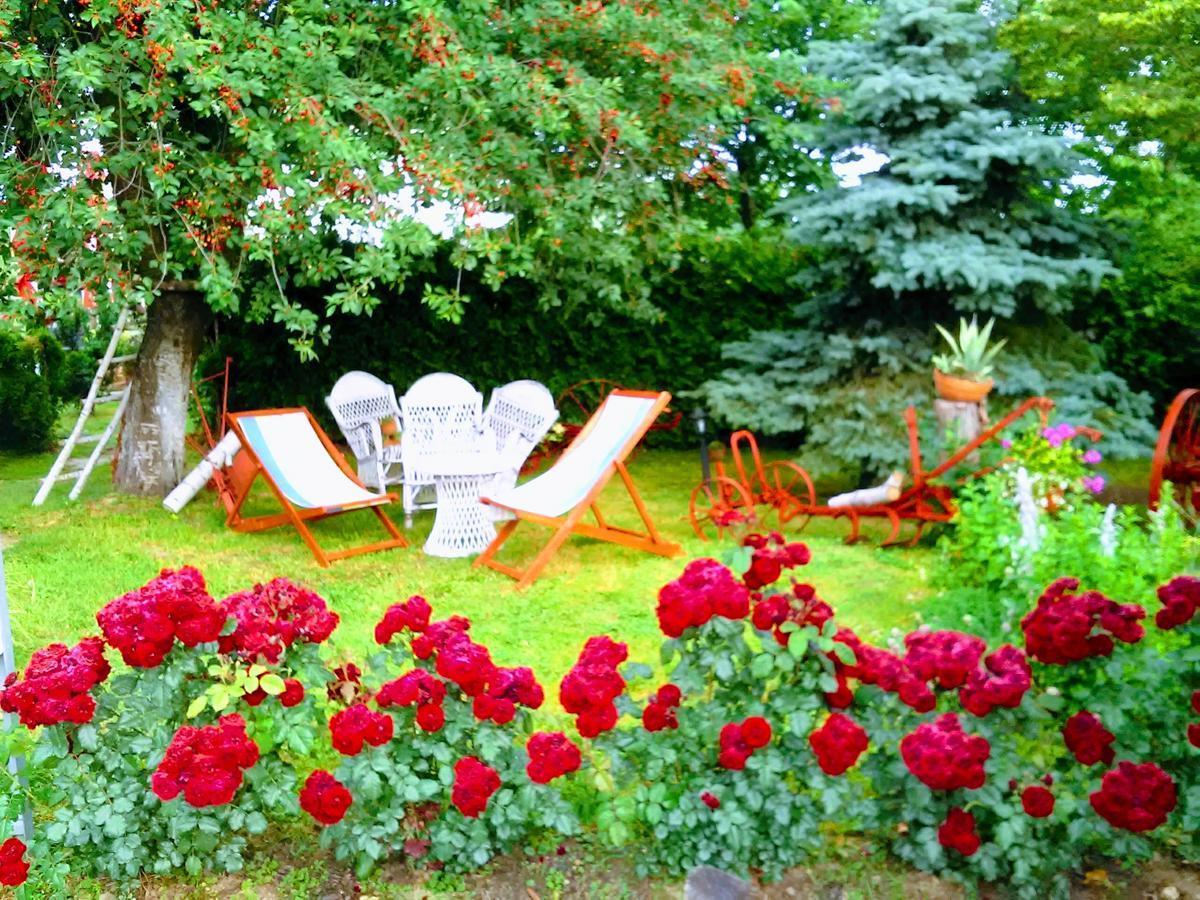 Klet Cinkus Bed and Breakfast Hrvatski Leskovac Exteriör bild